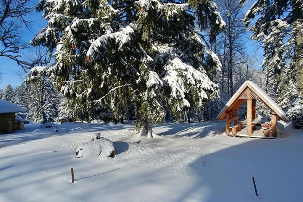 Le Petit Loup, Appartement Neuf Avec Jardin Gerbepal Luaran gambar